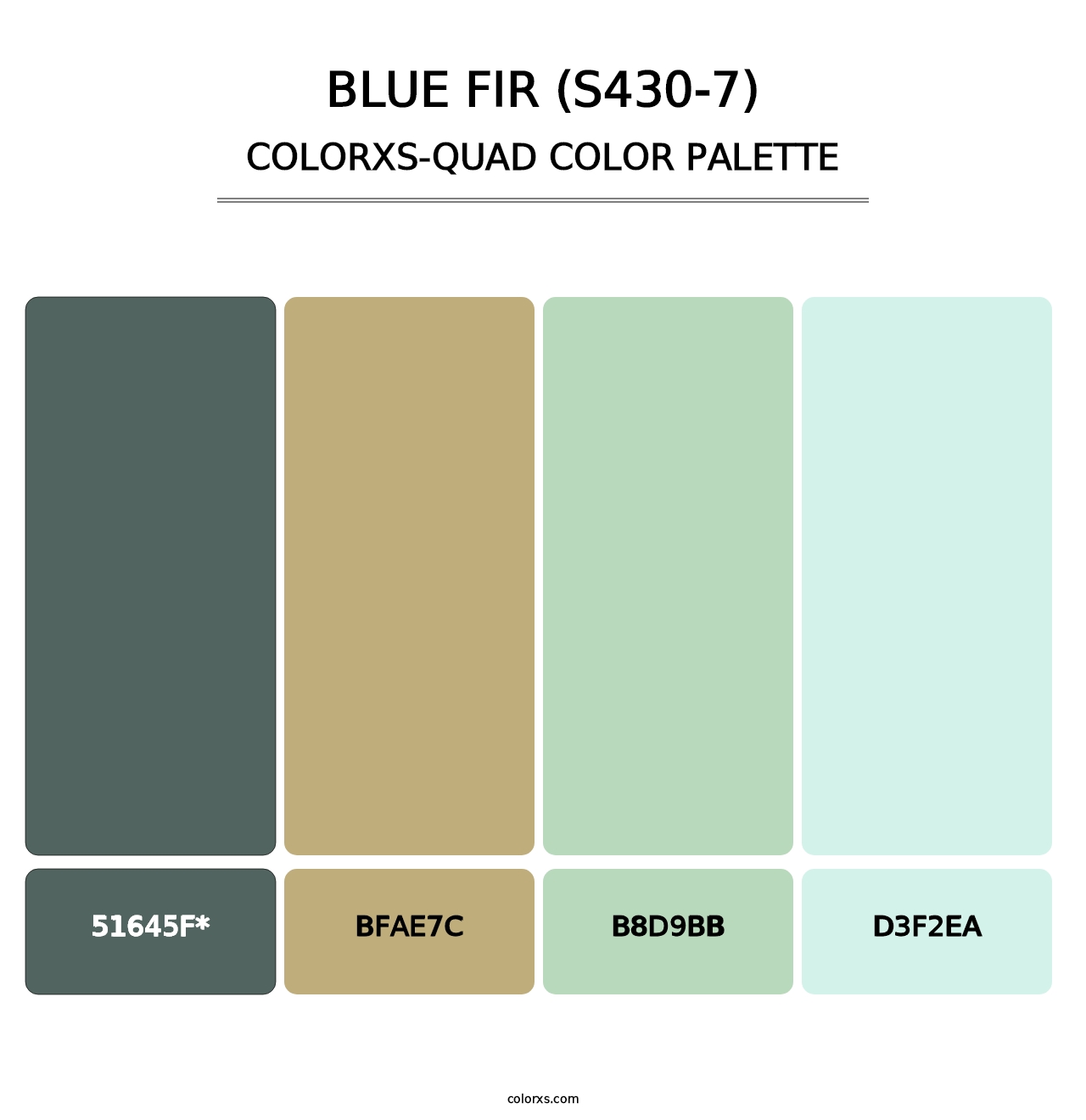 Blue Fir (S430-7) - Colorxs Quad Palette