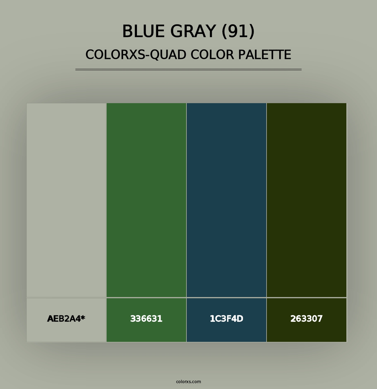 Blue Gray (91) - Colorxs Quad Palette