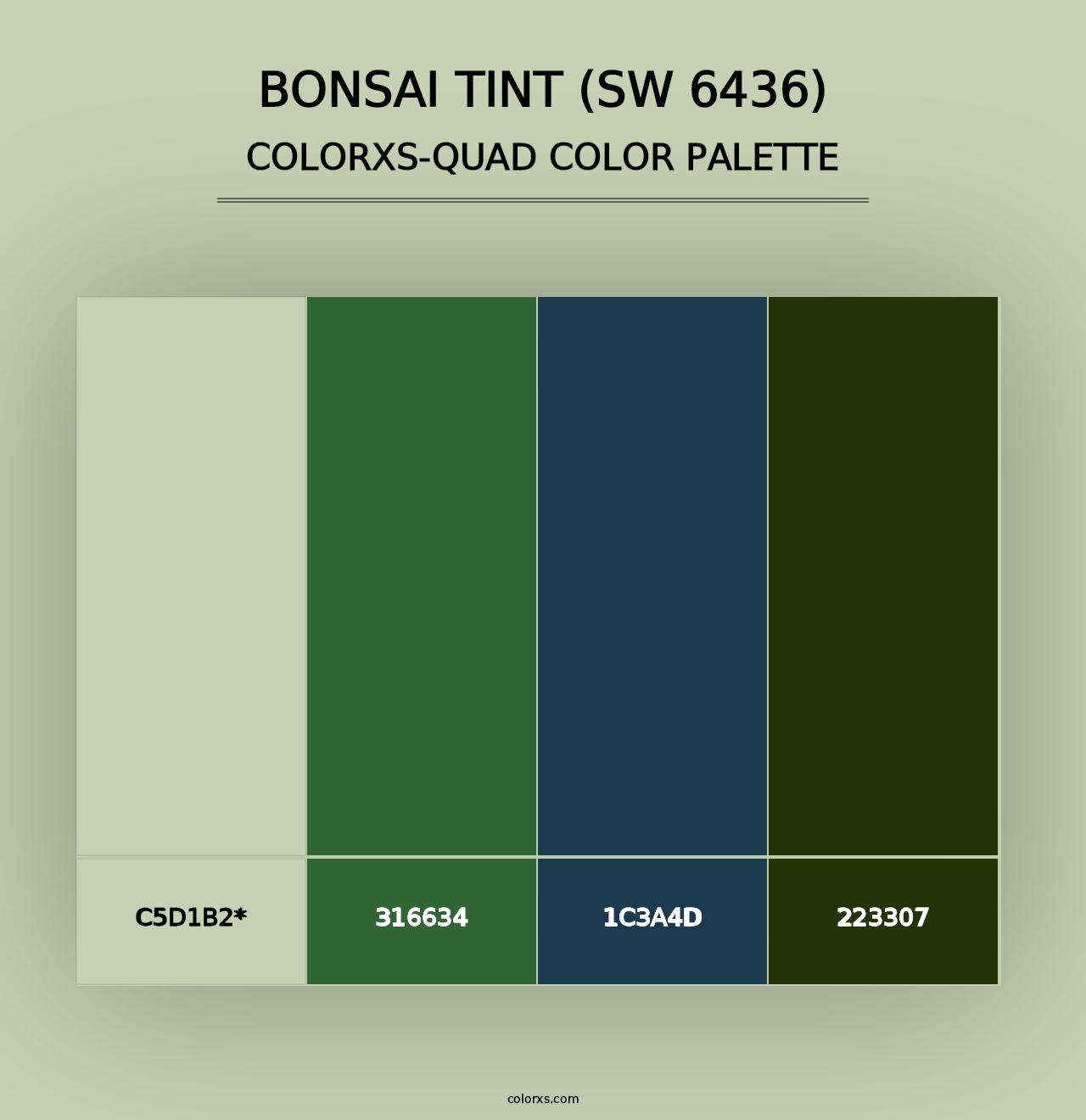 Bonsai Tint (SW 6436) - Colorxs Quad Palette