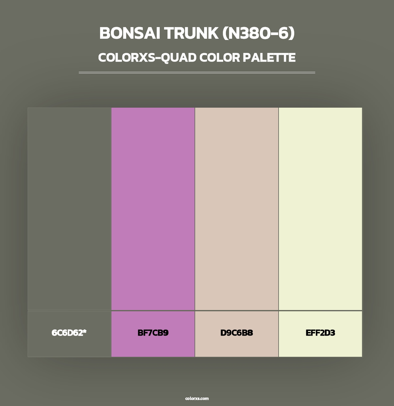 Bonsai Trunk (N380-6) - Colorxs Quad Palette