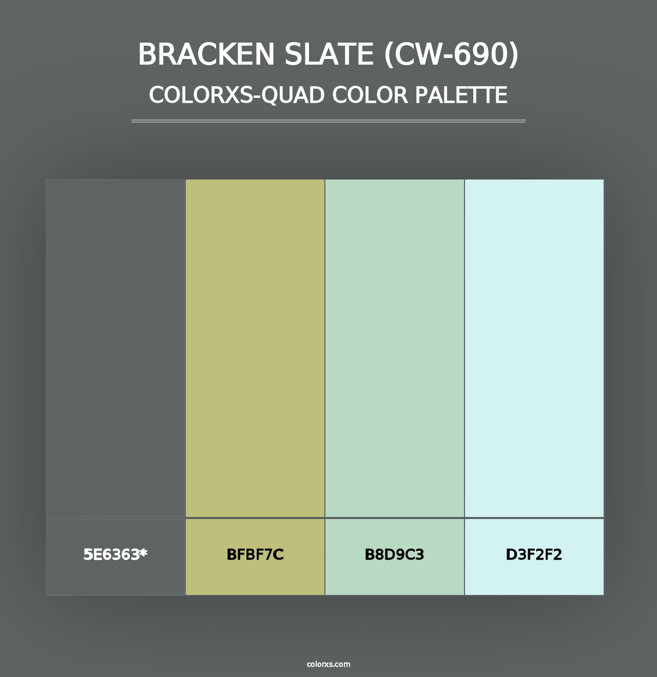 Bracken Slate (CW-690) - Colorxs Quad Palette