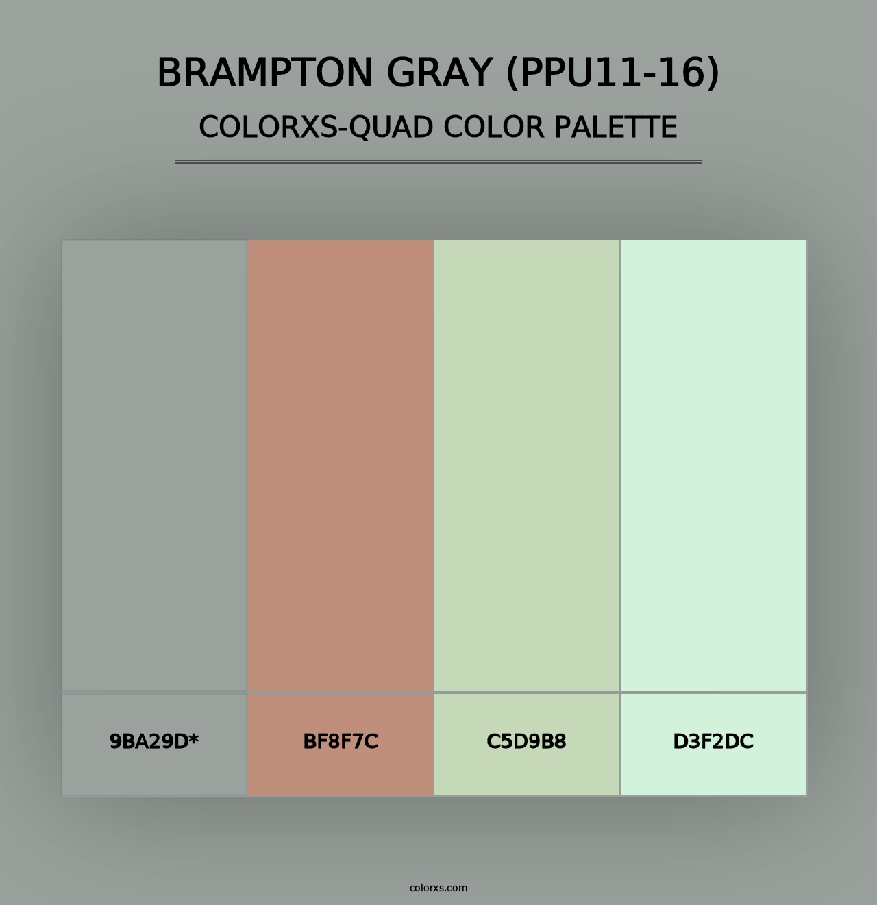 Brampton Gray (PPU11-16) - Colorxs Quad Palette