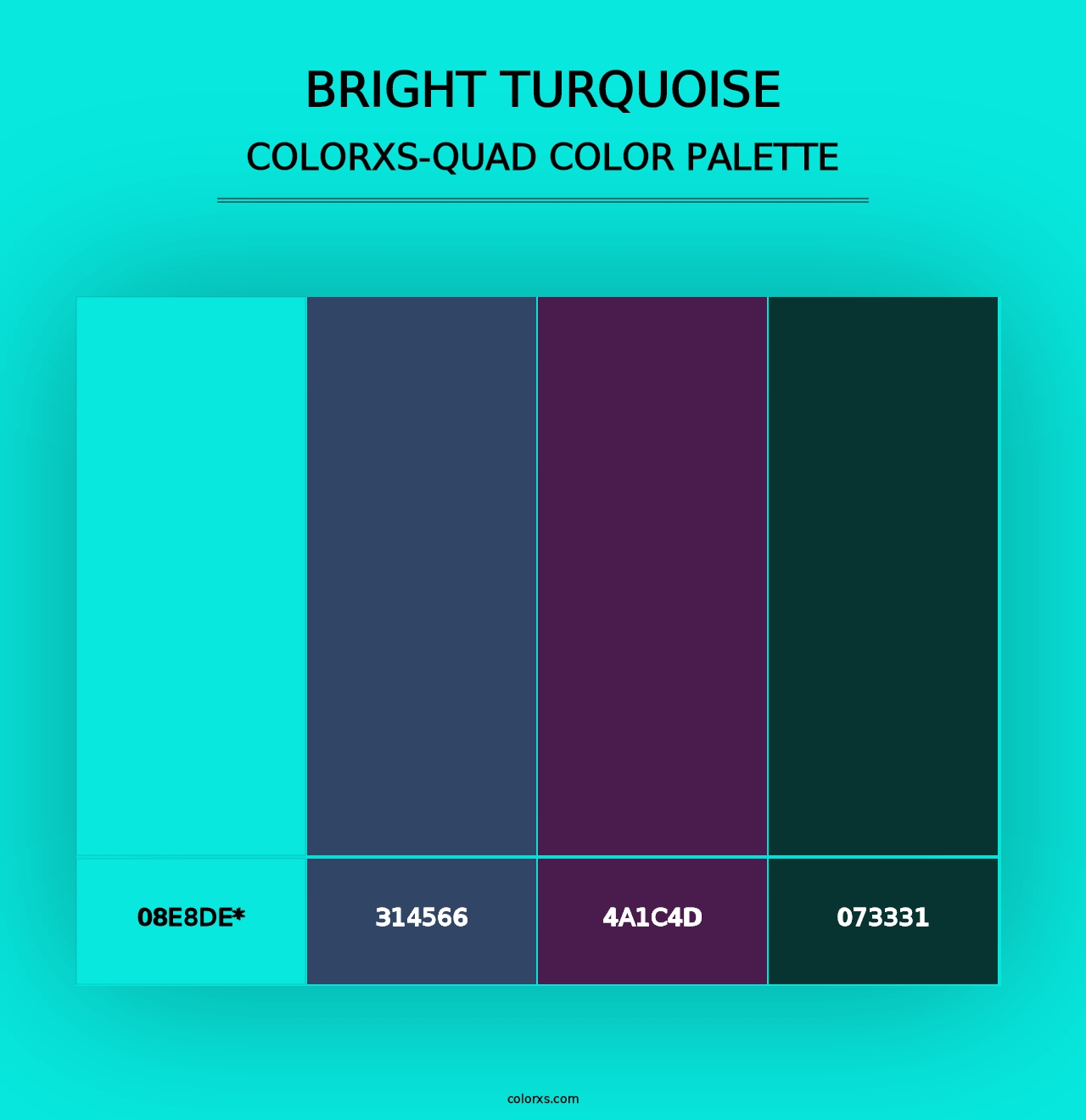 Bright Turquoise - Colorxs Quad Palette