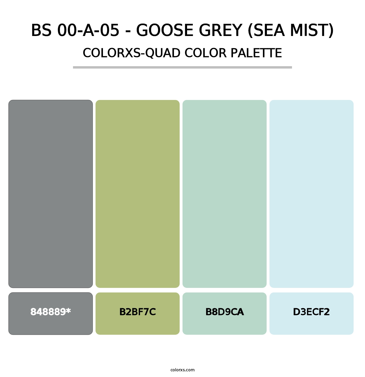 BS 00-A-05 - Goose Grey (Sea Mist) - Colorxs Quad Palette