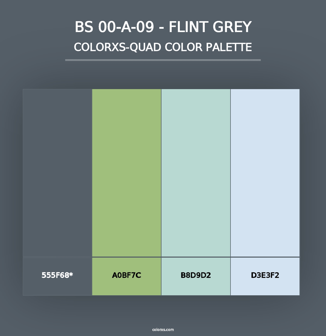 BS 00-A-09 - Flint Grey - Colorxs Quad Palette