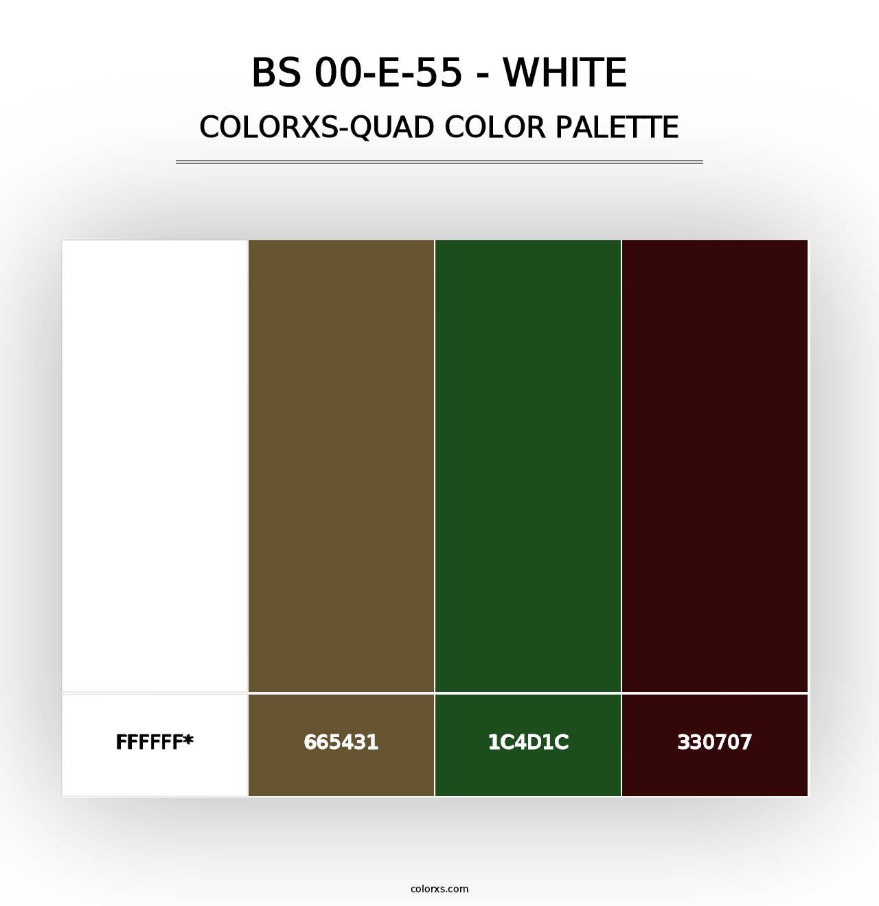 BS 00-E-55 - White - Colorxs Quad Palette