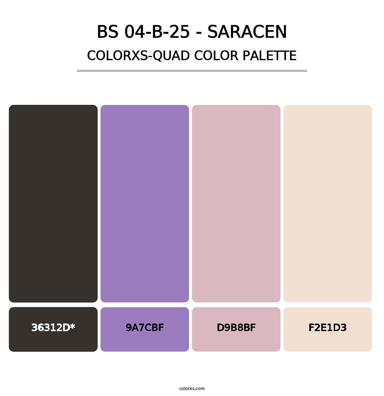 BS 04-B-25 - Saracen - Colorxs Quad Palette