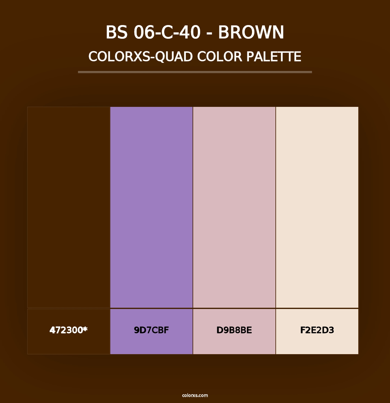 BS 06-C-40 - Brown - Colorxs Quad Palette