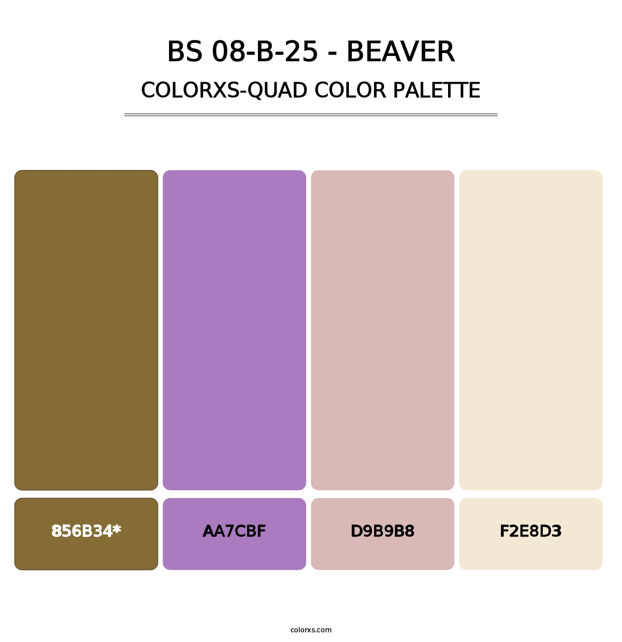 BS 08-B-25 - Beaver - Colorxs Quad Palette