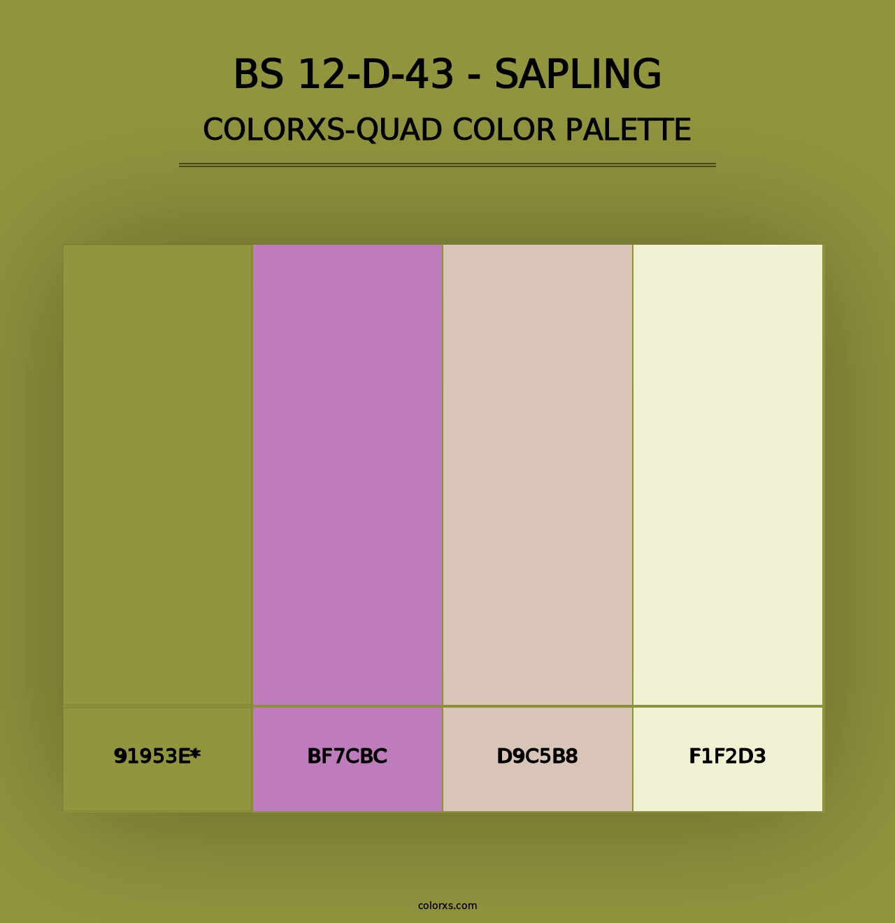 BS 12-D-43 - Sapling - Colorxs Quad Palette