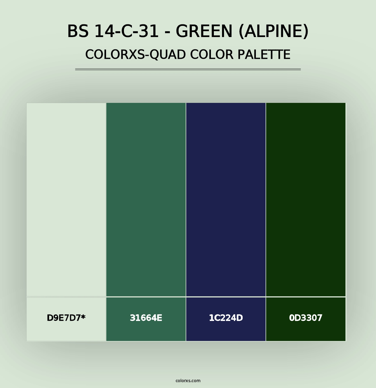 BS 14-C-31 - Green (Alpine) - Colorxs Quad Palette