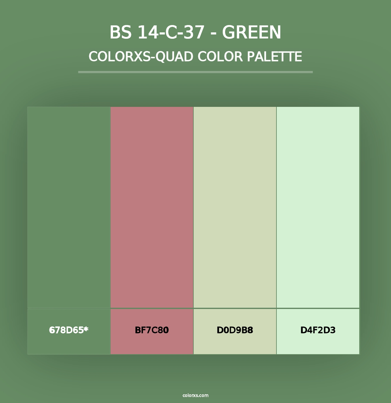 BS 14-C-37 - Green - Colorxs Quad Palette