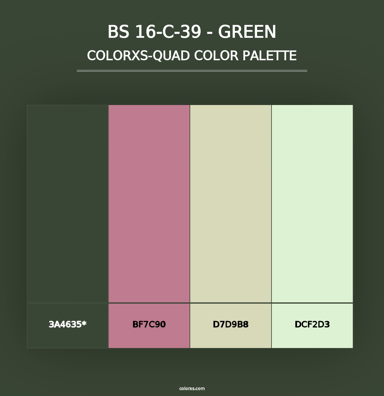 BS 16-C-39 - Green - Colorxs Quad Palette