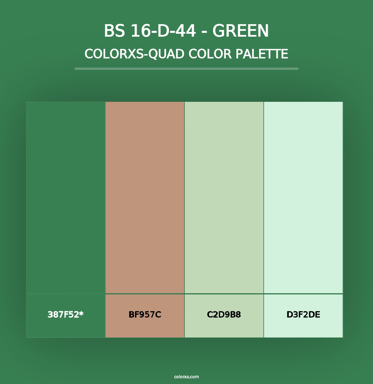 BS 16-D-44 - Green - Colorxs Quad Palette