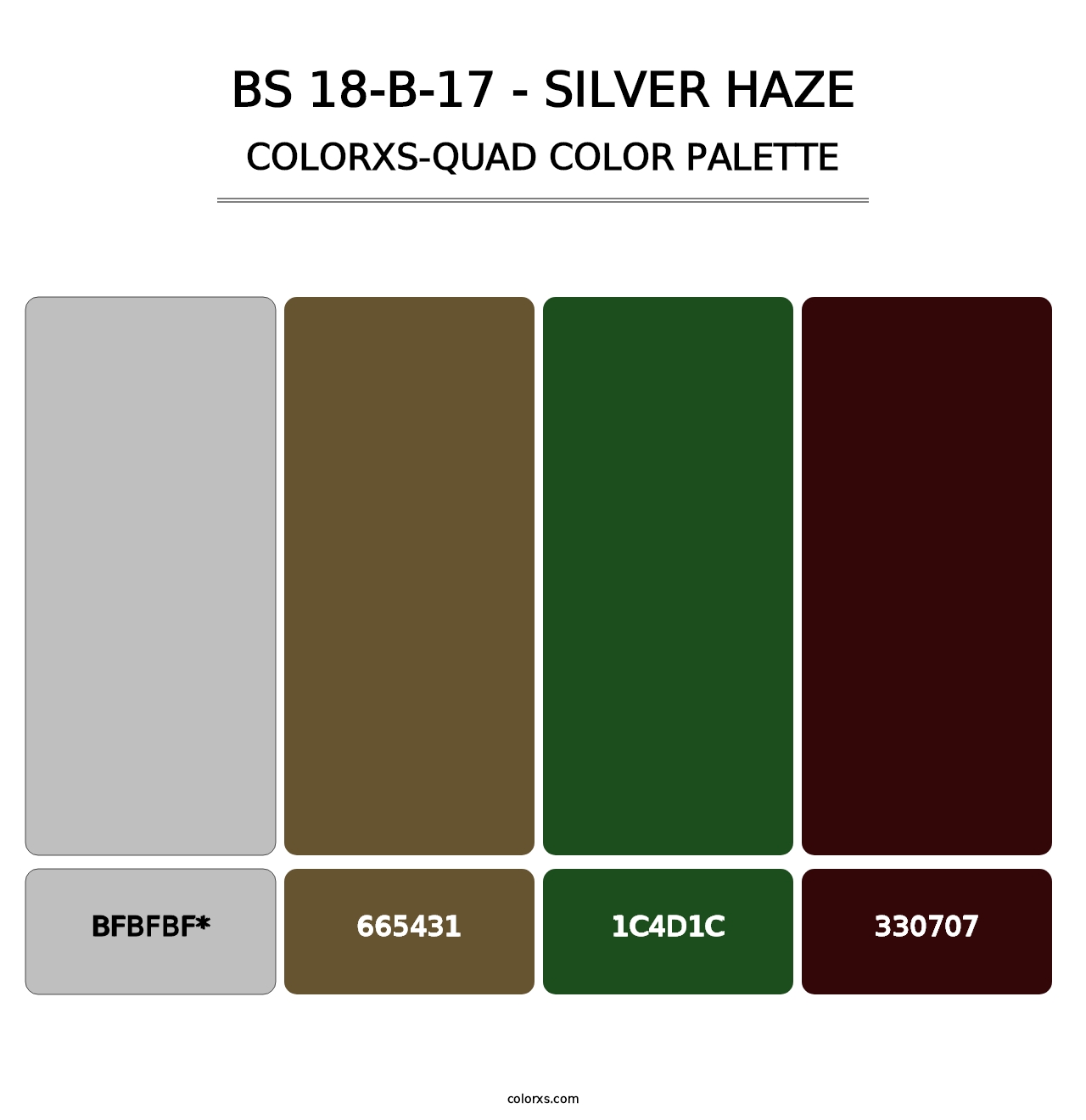 BS 18-B-17 - Silver Haze - Colorxs Quad Palette