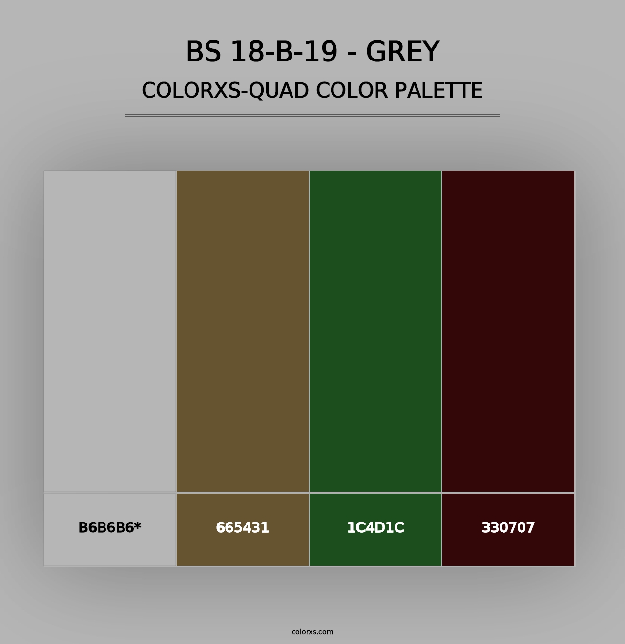 BS 18-B-19 - Grey - Colorxs Quad Palette