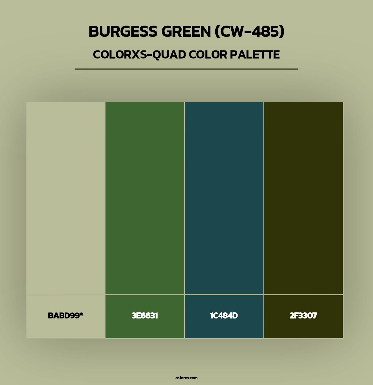 Burgess Green (CW-485) - Colorxs Quad Palette