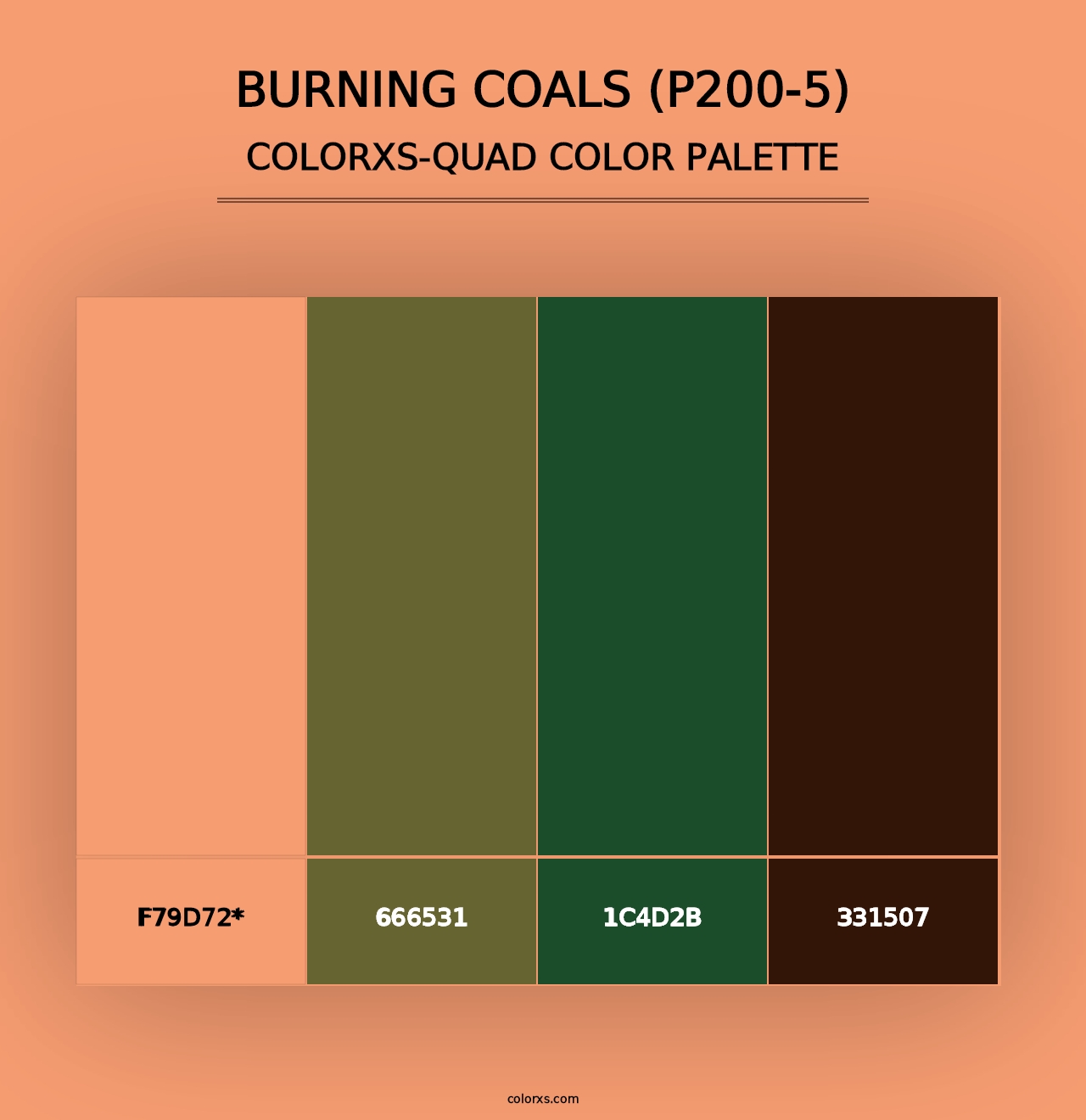 Burning Coals (P200-5) - Colorxs Quad Palette