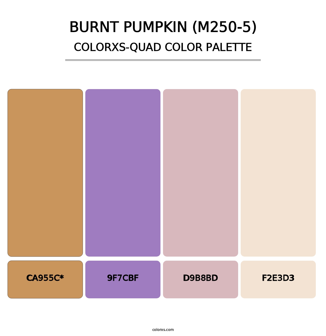 Burnt Pumpkin (M250-5) - Colorxs Quad Palette