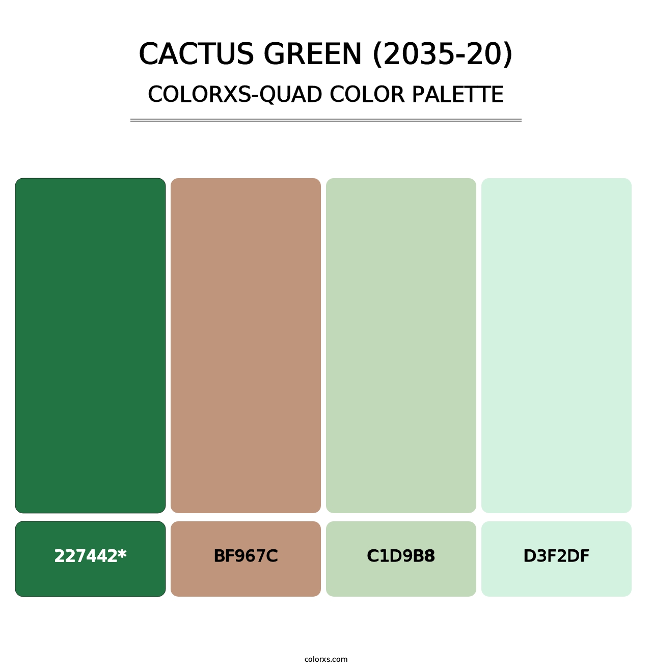 Cactus Green (2035-20) - Colorxs Quad Palette