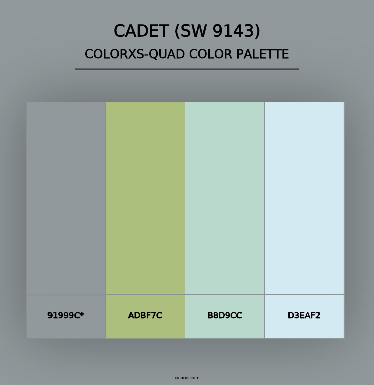 Cadet (SW 9143) - Colorxs Quad Palette