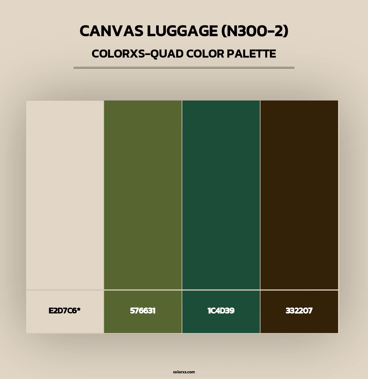 Canvas Luggage (N300-2) - Colorxs Quad Palette