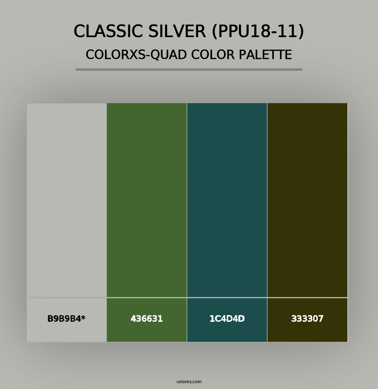 Classic Silver (PPU18-11) - Colorxs Quad Palette