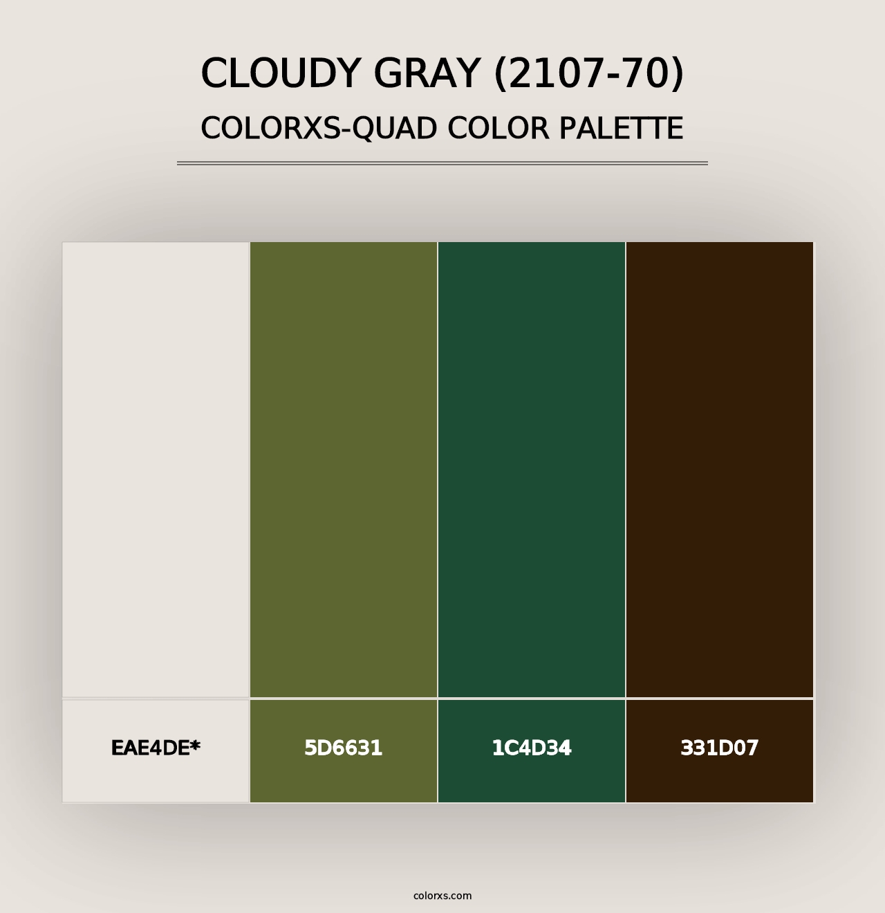 Cloudy Gray (2107-70) - Colorxs Quad Palette