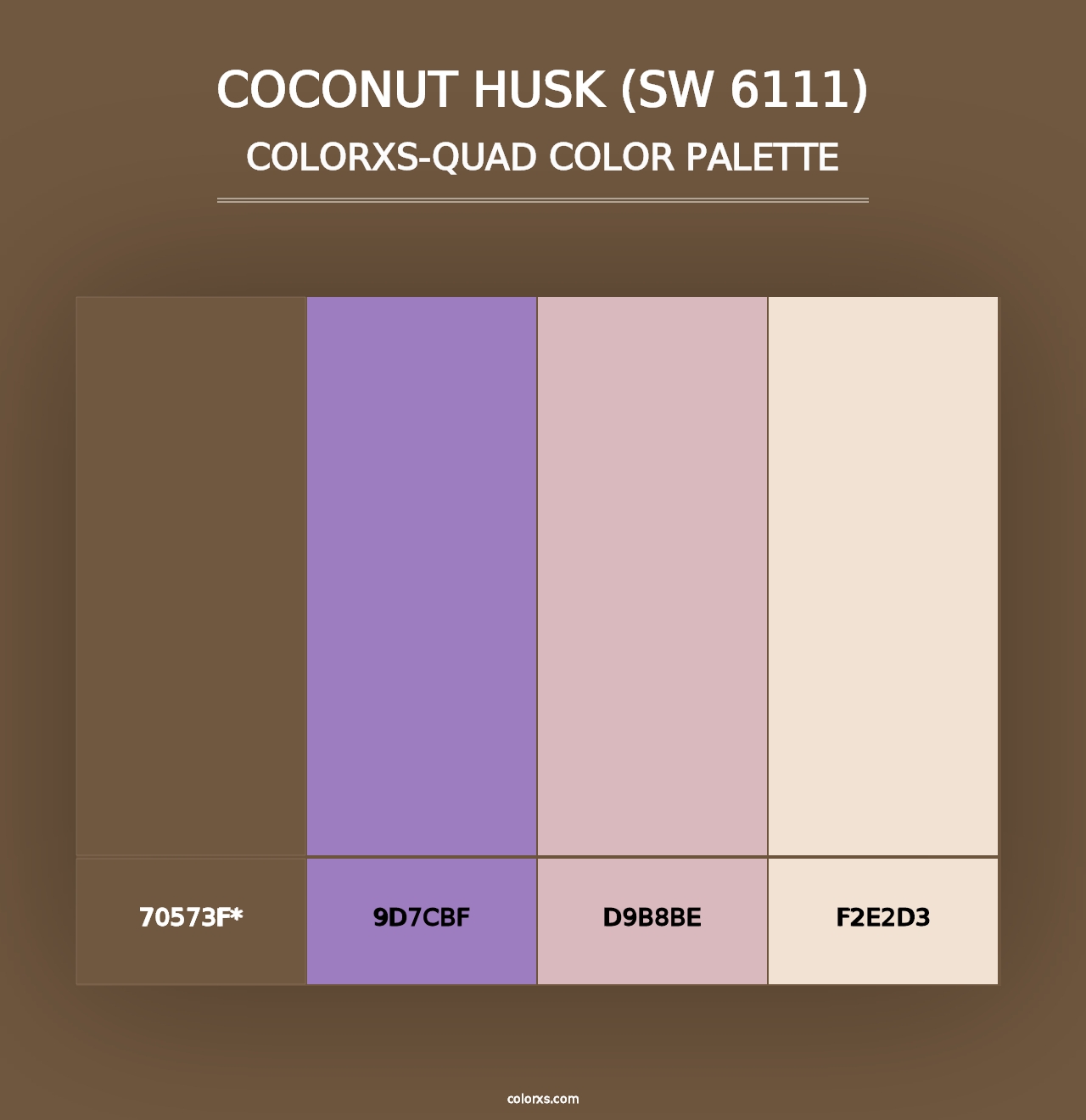 Coconut Husk (SW 6111) - Colorxs Quad Palette