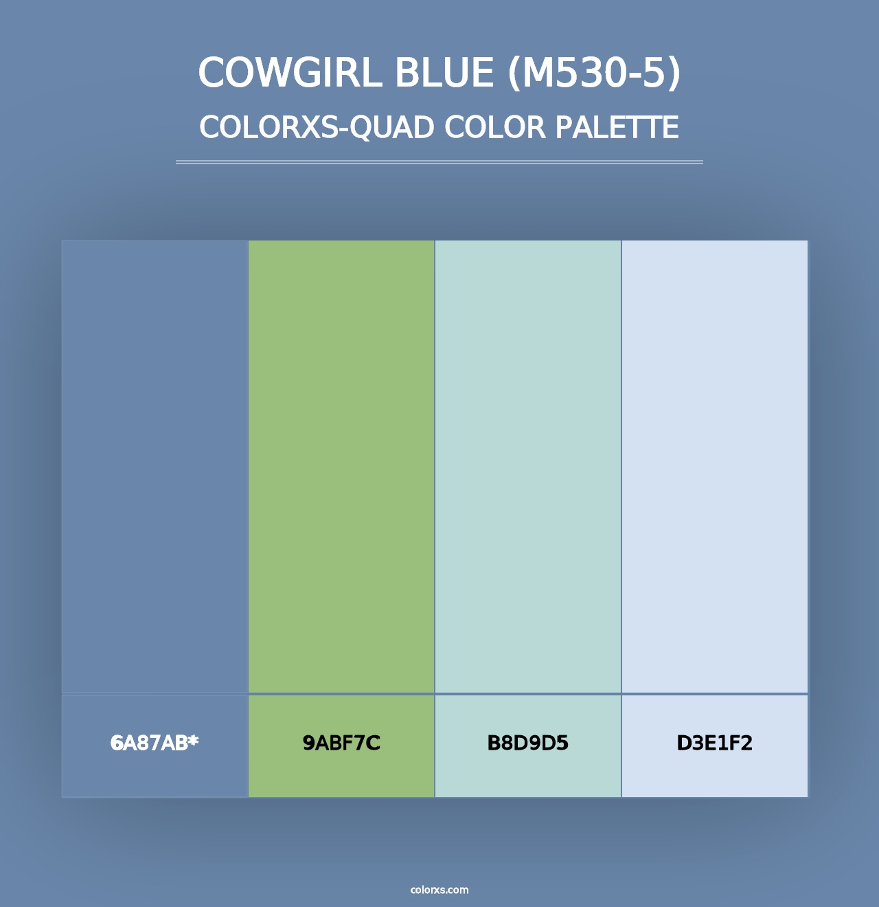 Cowgirl Blue (M530-5) - Colorxs Quad Palette