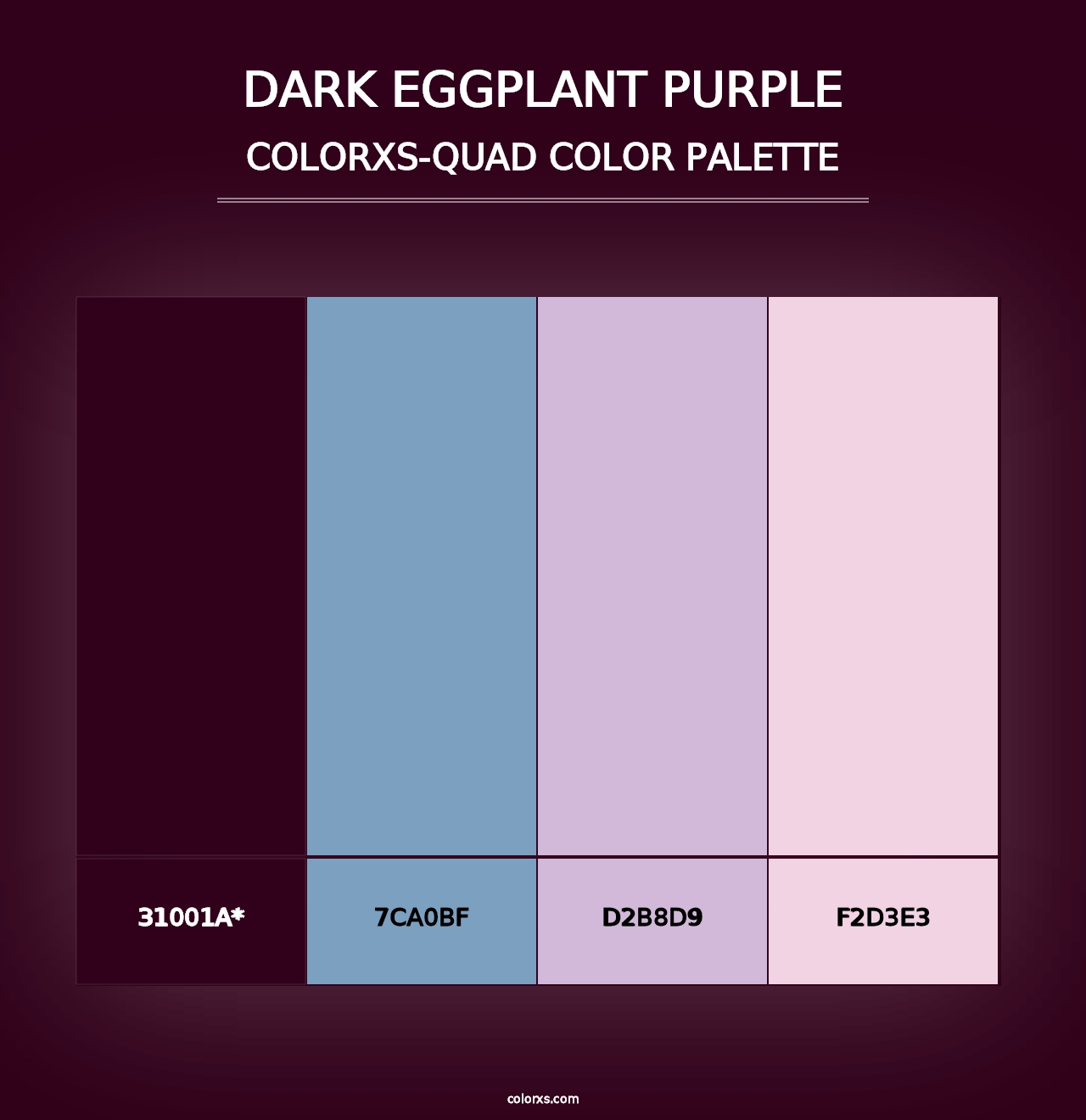 Dark Eggplant Purple - Colorxs Quad Palette