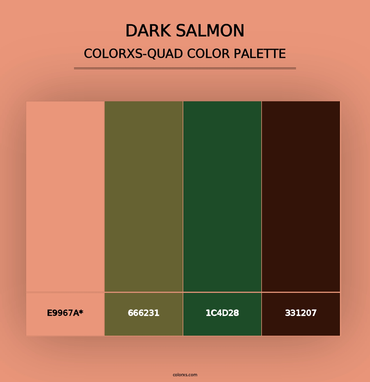 Dark Salmon - Colorxs Quad Palette