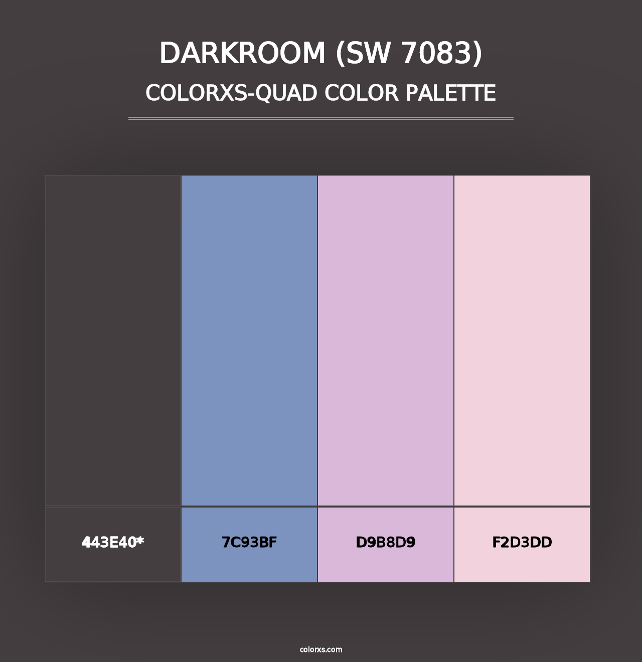 Darkroom (SW 7083) - Colorxs Quad Palette