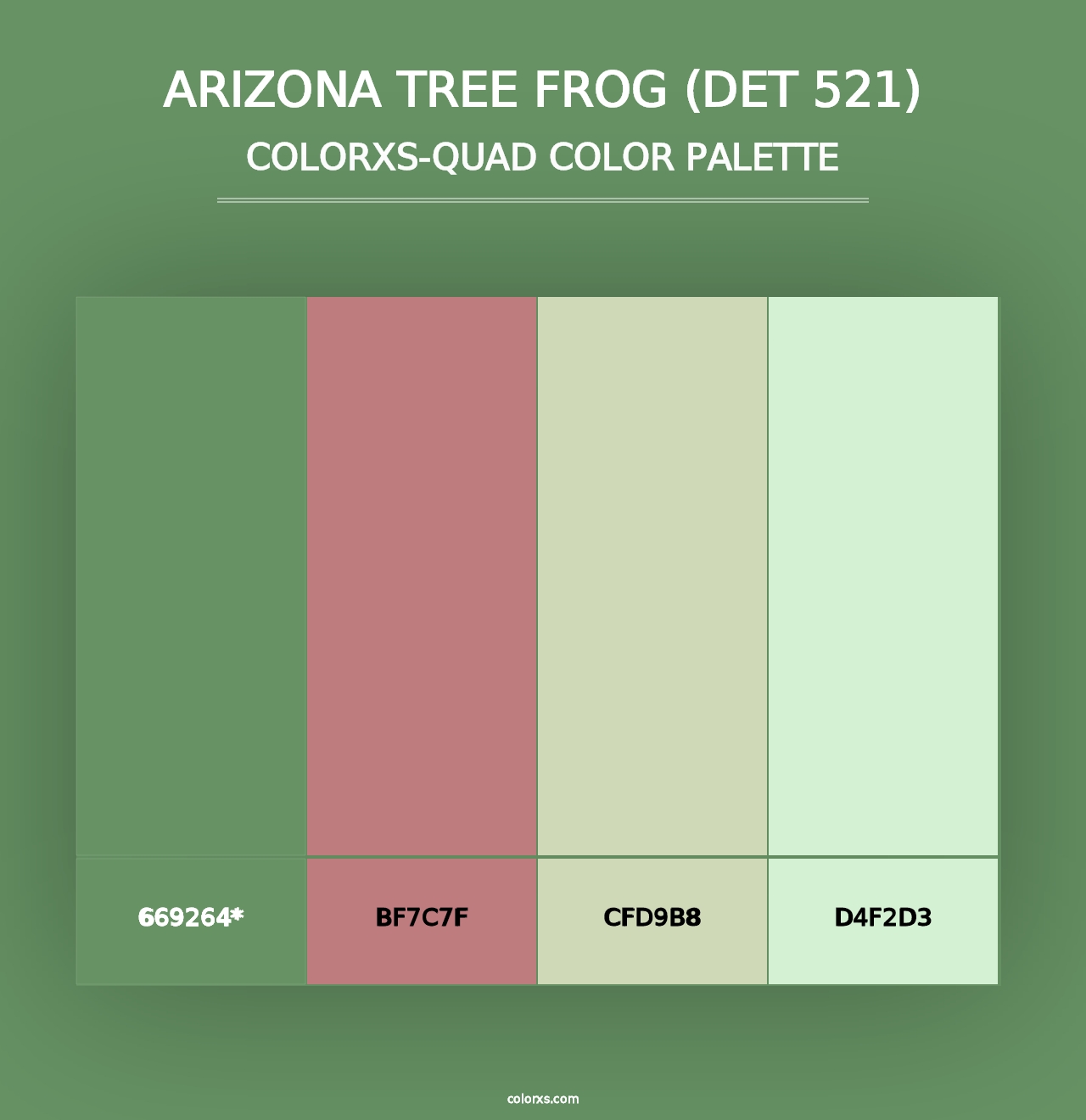 Arizona Tree Frog (DET 521) - Colorxs Quad Palette