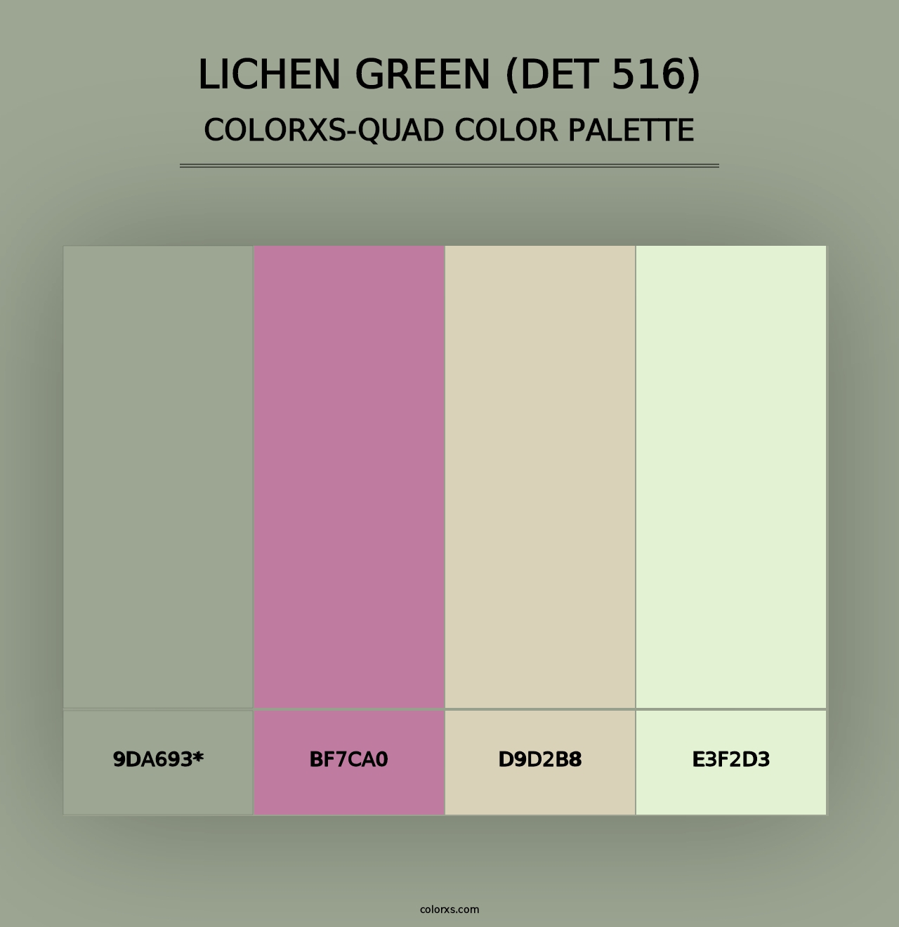 Lichen Green (DET 516) - Colorxs Quad Palette