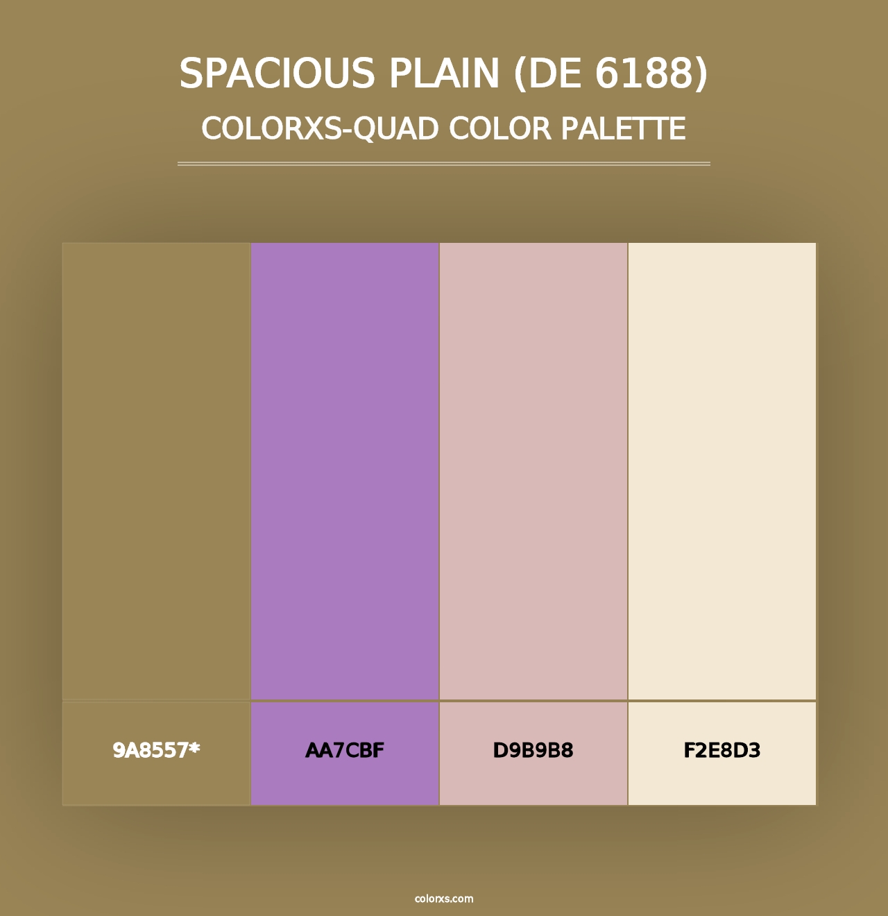 Spacious Plain (DE 6188) - Colorxs Quad Palette