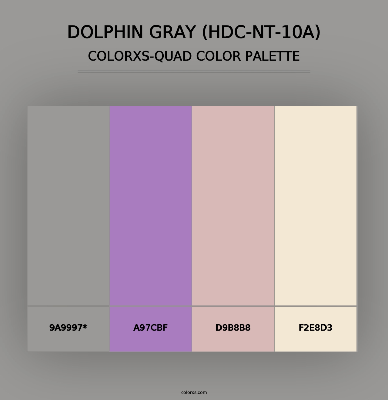 Dolphin Gray (HDC-NT-10A) - Colorxs Quad Palette