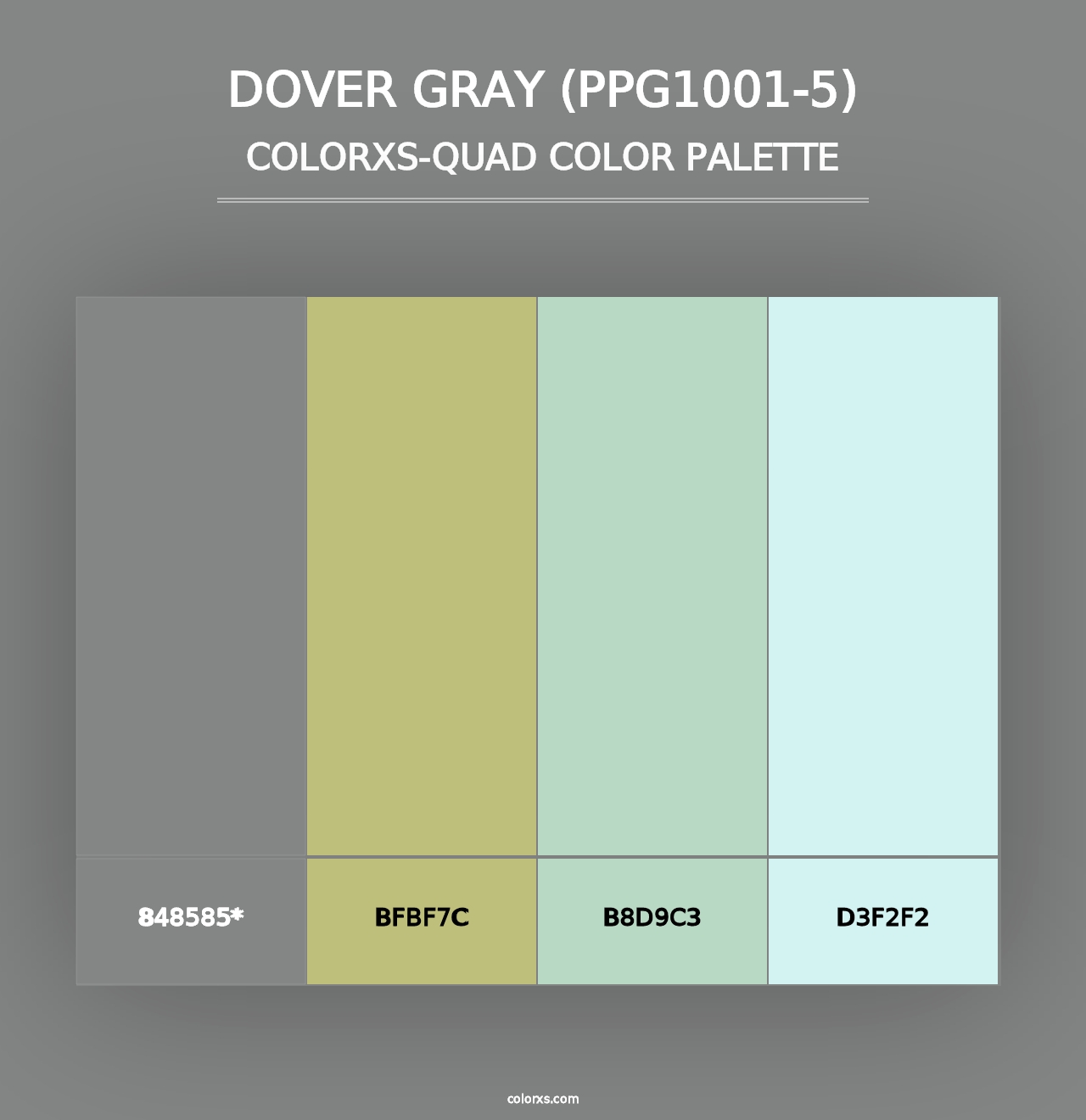 Dover Gray (PPG1001-5) - Colorxs Quad Palette