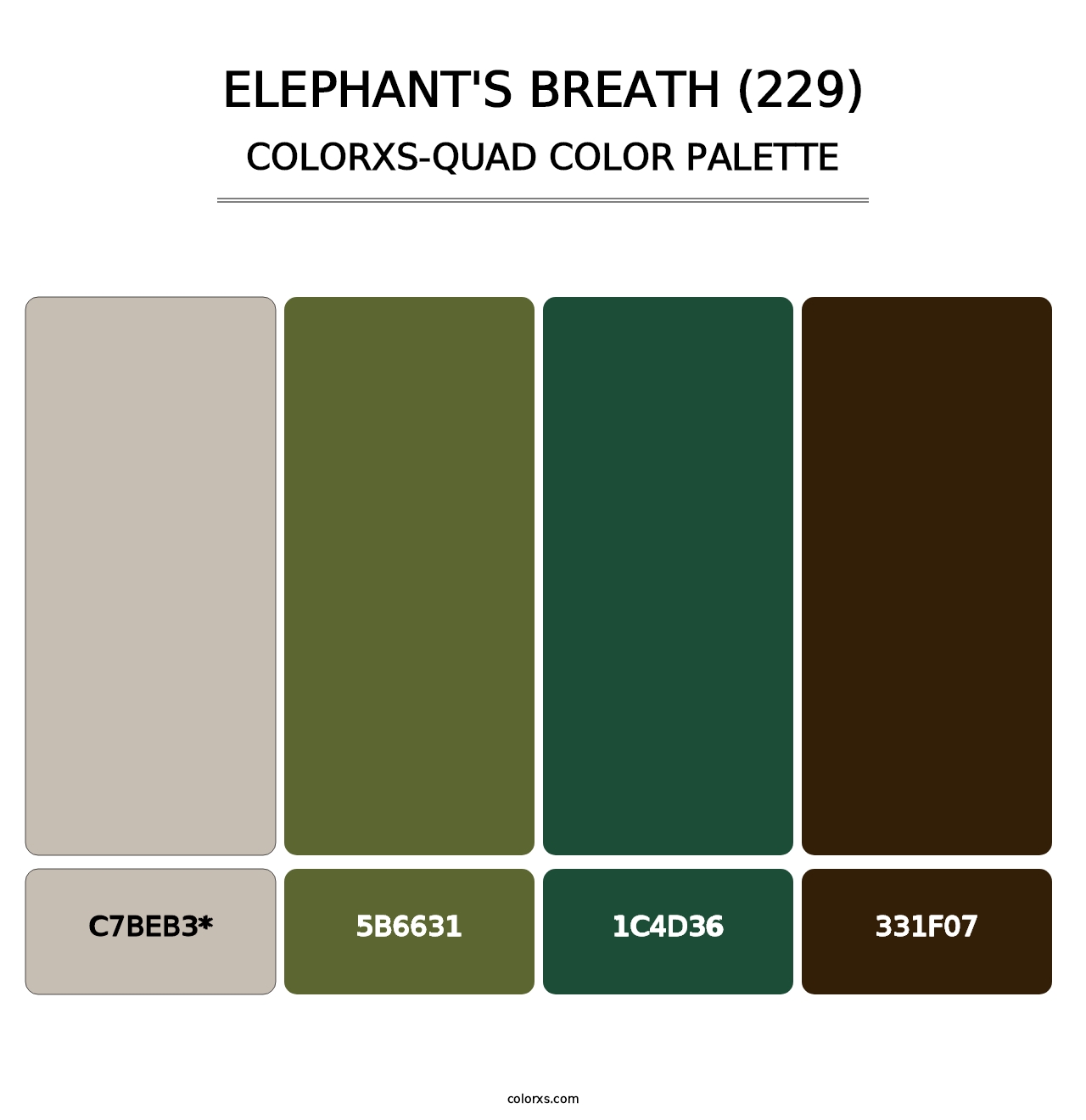 Elephant's Breath (229) - Colorxs Quad Palette