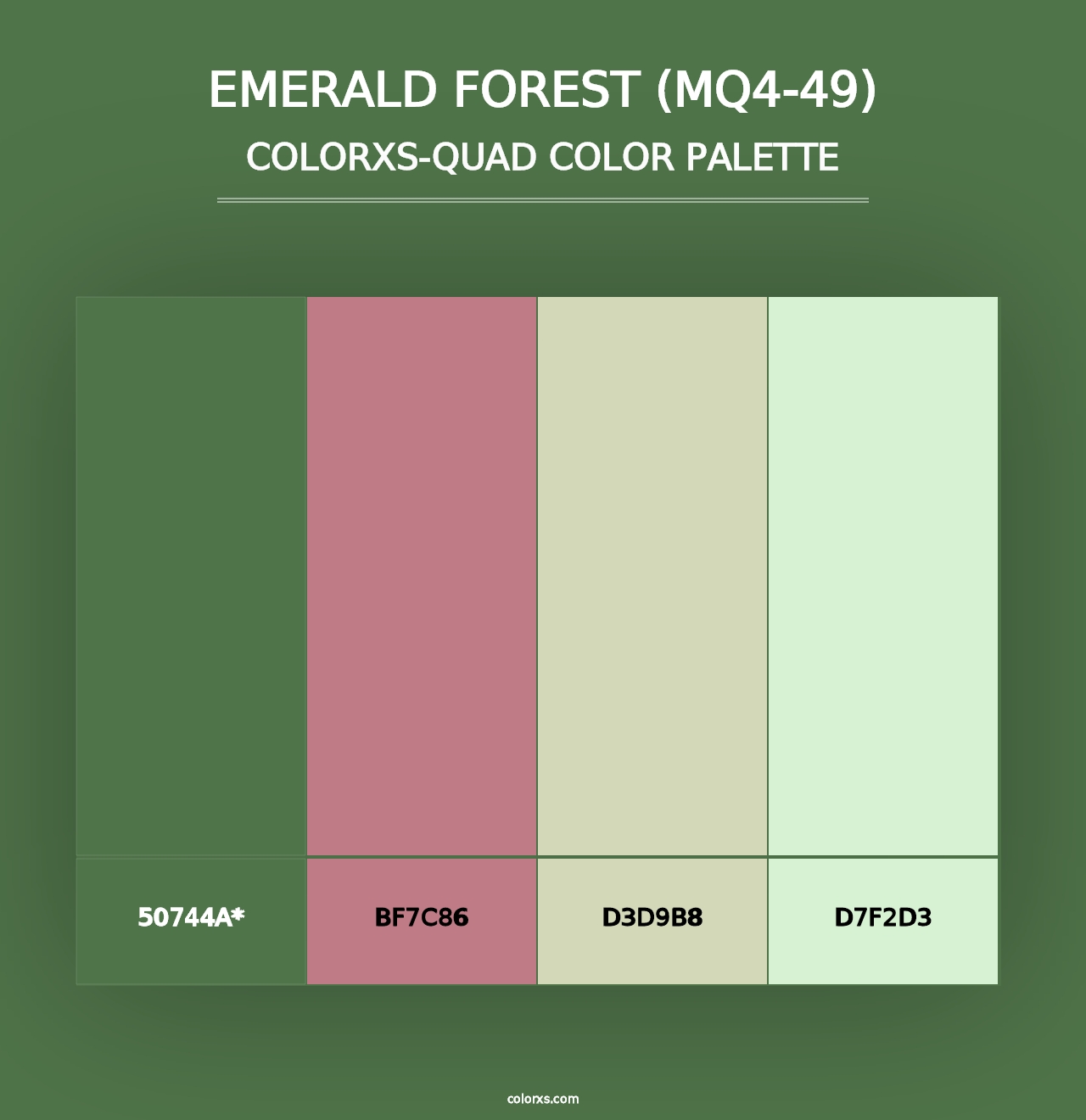 Emerald Forest (MQ4-49) - Colorxs Quad Palette