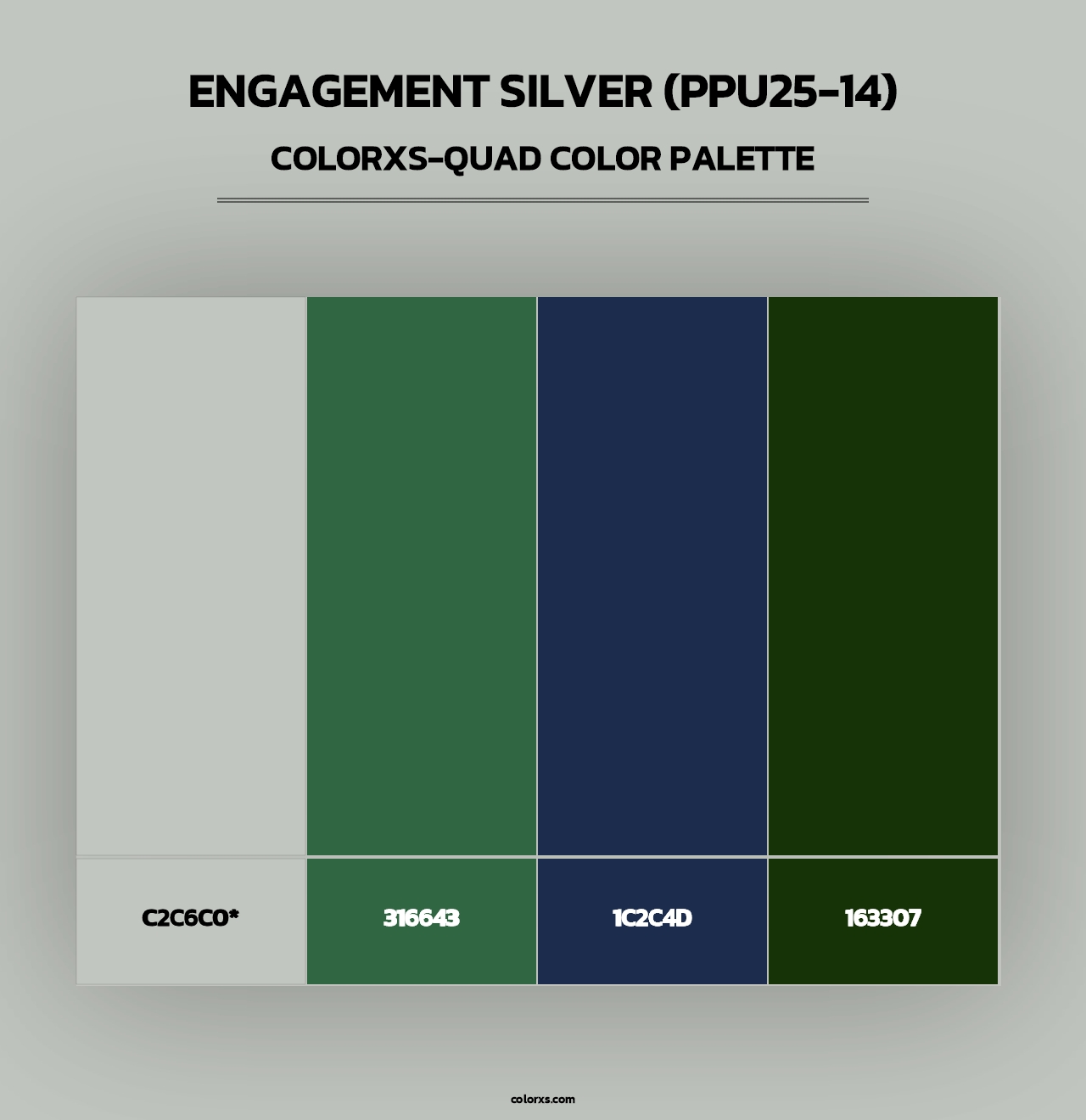 Engagement Silver (PPU25-14) - Colorxs Quad Palette