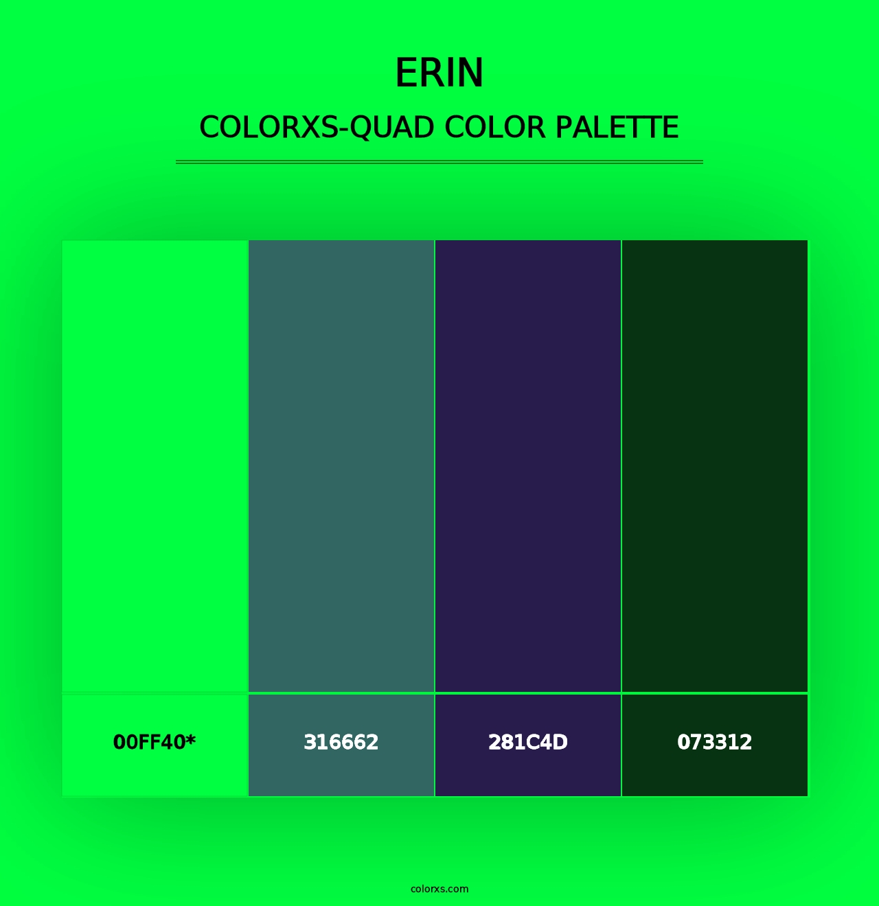 Erin - Colorxs Quad Palette