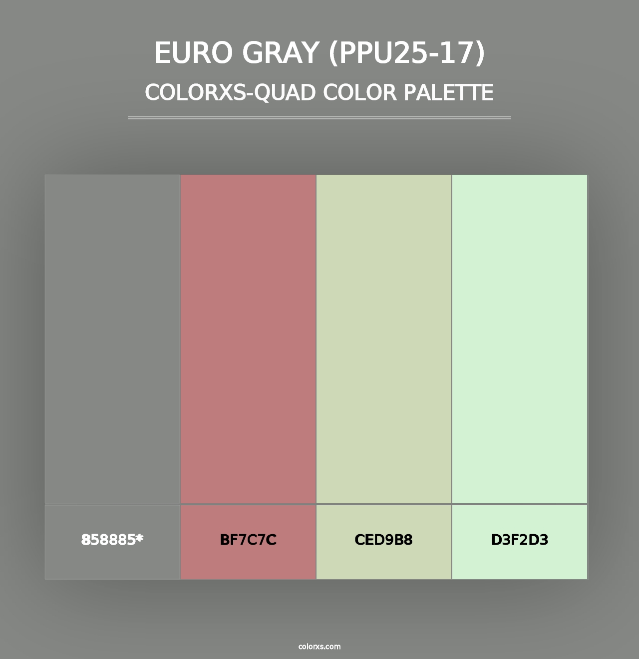 Euro Gray (PPU25-17) - Colorxs Quad Palette