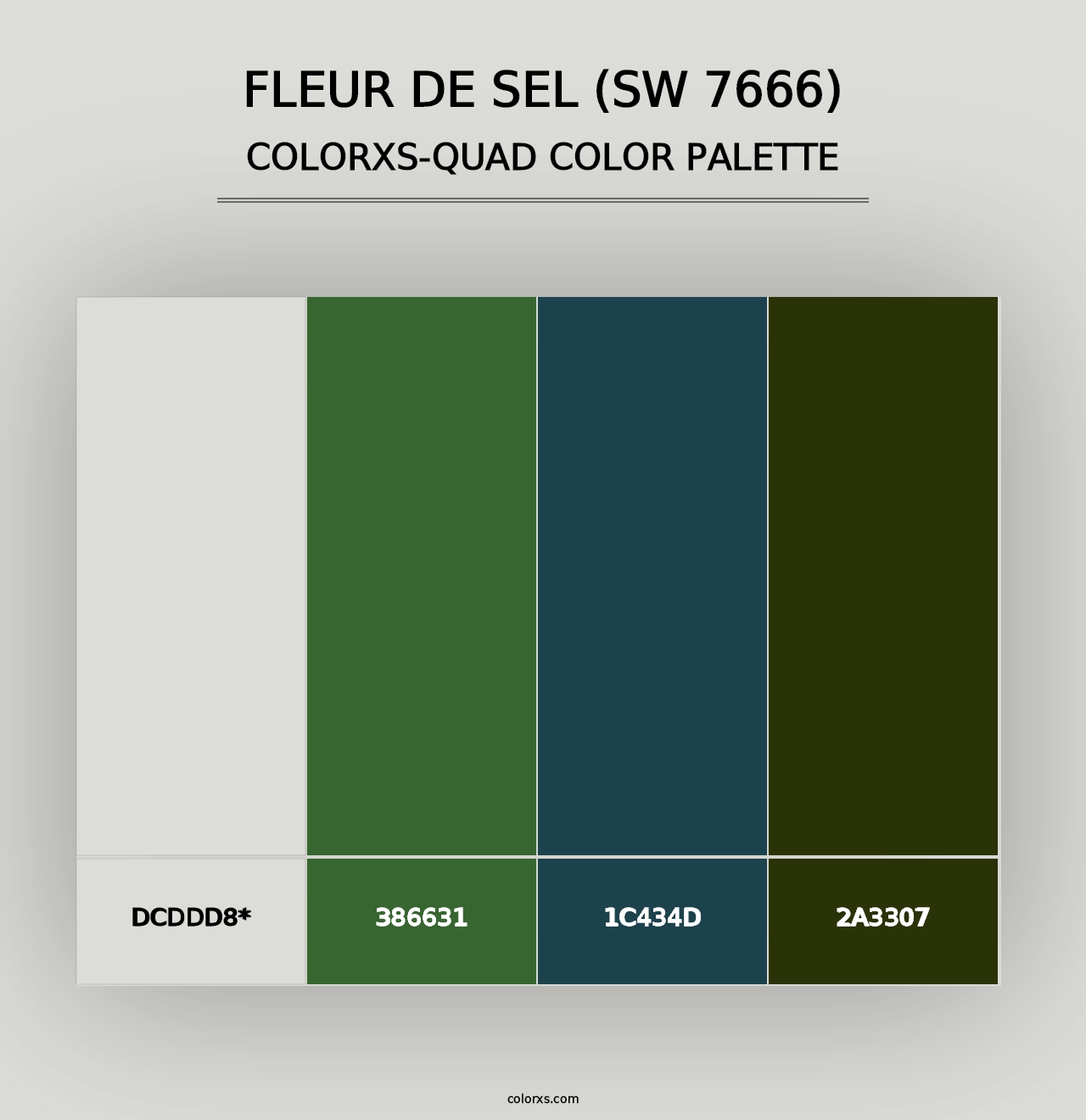 Fleur de Sel (SW 7666) - Colorxs Quad Palette