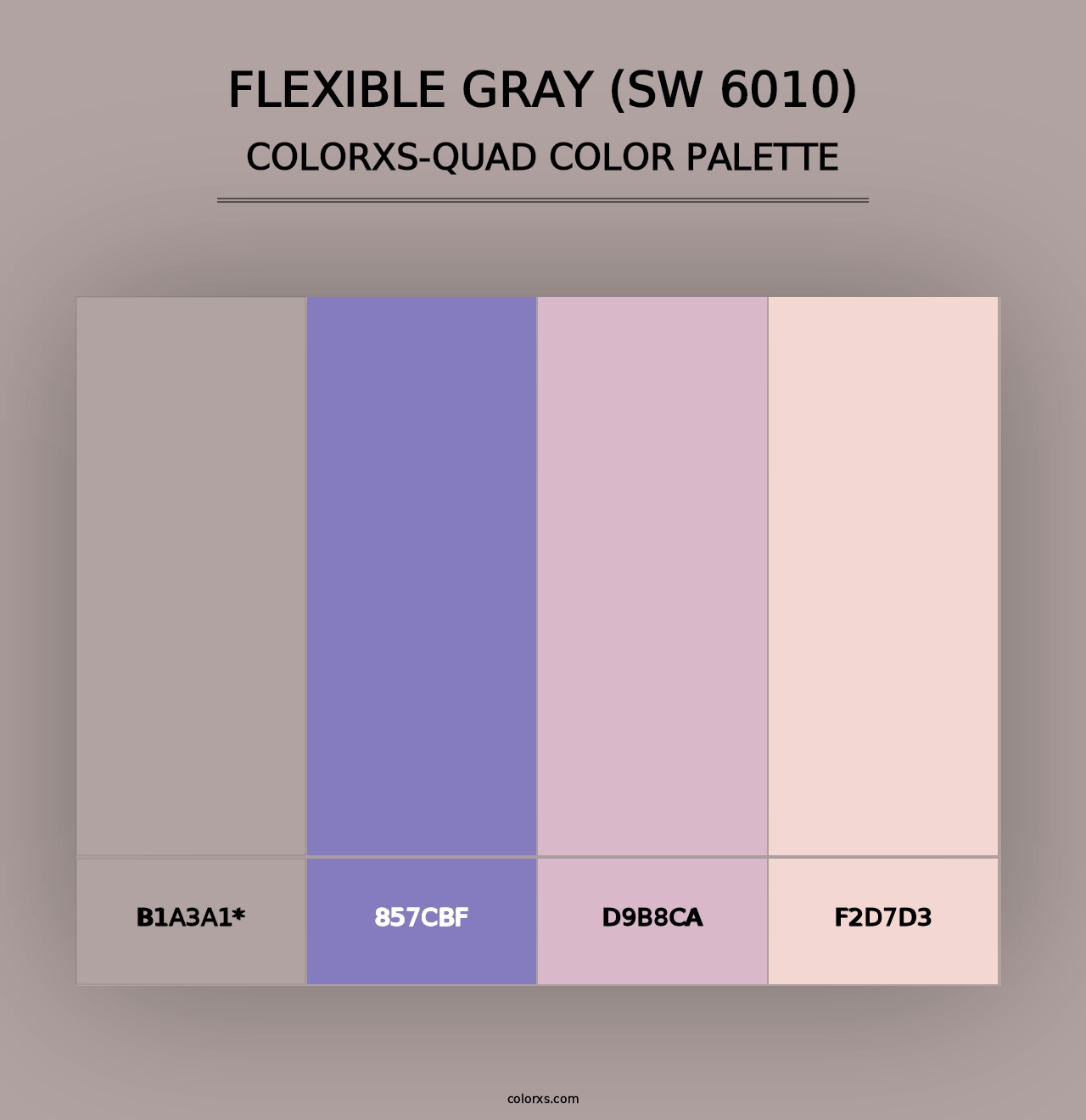 Flexible Gray (SW 6010) - Colorxs Quad Palette