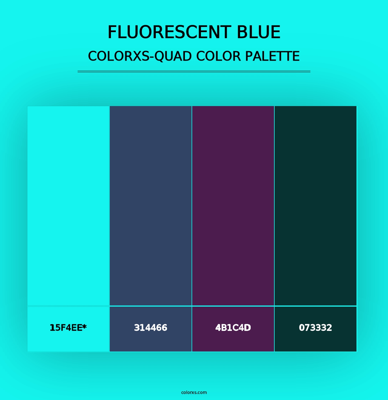 Fluorescent Blue - Colorxs Quad Palette