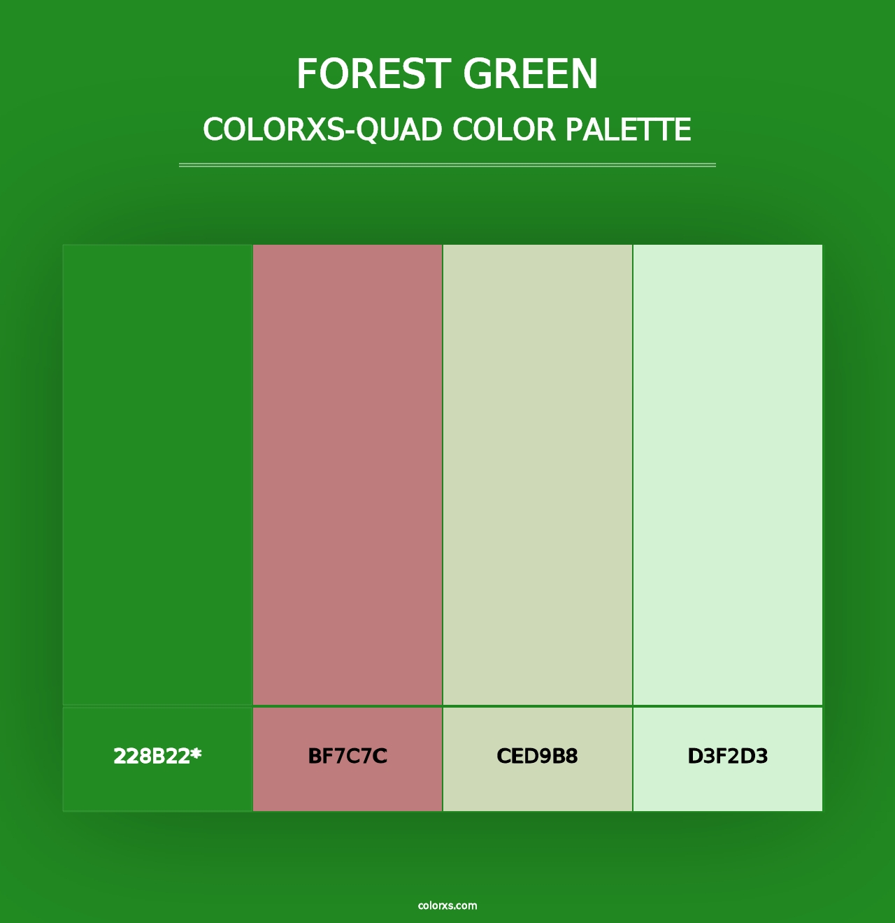 Forest green - Colorxs Quad Palette