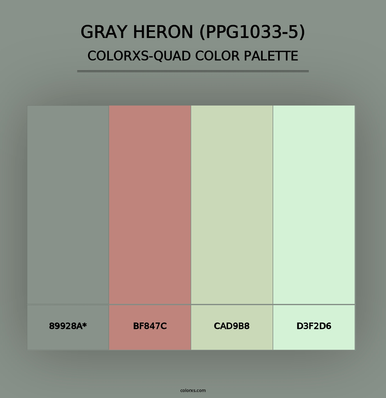 Gray Heron (PPG1033-5) - Colorxs Quad Palette