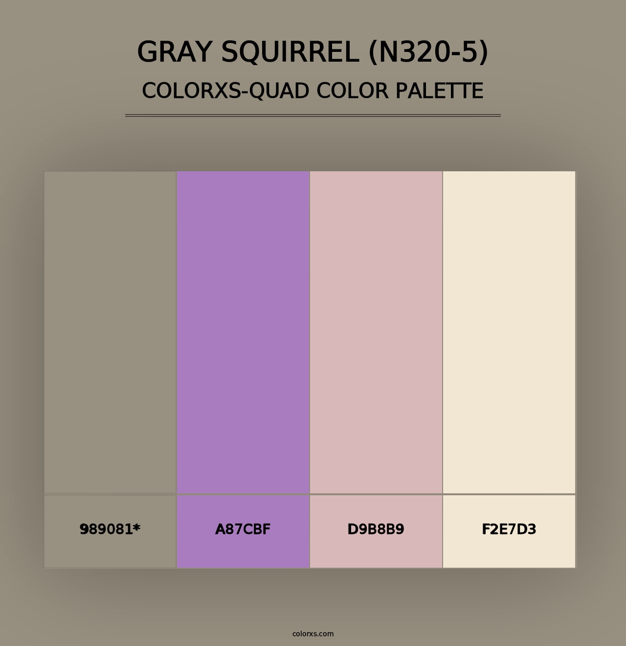 Gray Squirrel (N320-5) - Colorxs Quad Palette