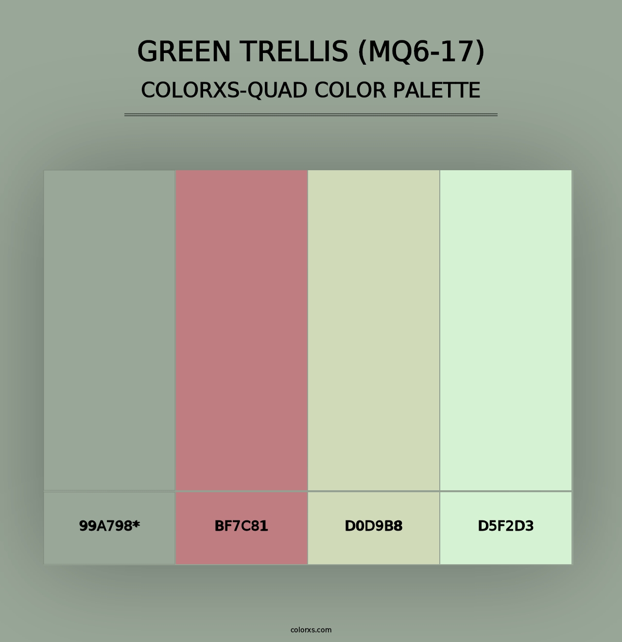 Green Trellis (MQ6-17) - Colorxs Quad Palette